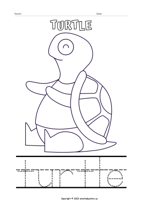 Image for T for Turtle - Colouring